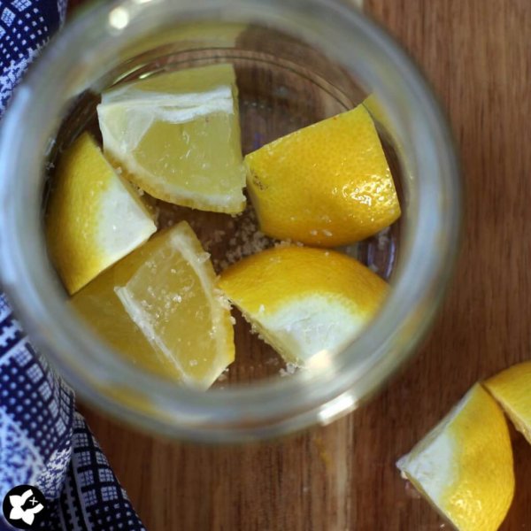 chilibluetendotcom-Salzzitronen-im-Glas chilibluetendotcom-Salzzitronen-im-Glas